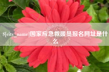 黔东国家应急救援员报名网址是什么