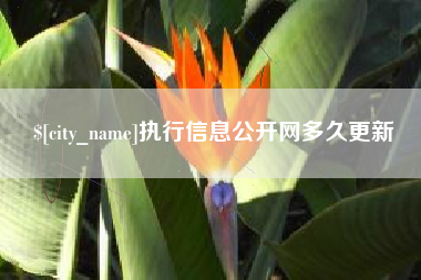 黔东执行信息公开网多久更新