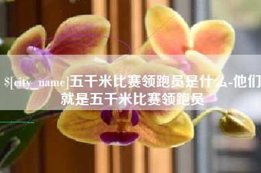 黔东五千米比赛领跑员是什么-他们就是五千米比赛领跑员