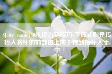 黔东60米接力赛技巧-下压式则是传棒人将棒的前部由上向下传到接棒人手中