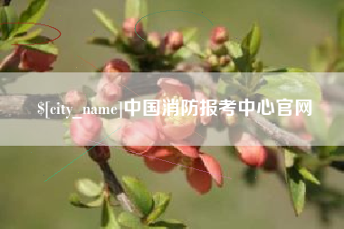 黔东中国消防报考中心官网