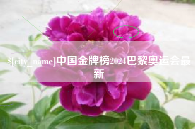 黔东中国金牌榜2024巴黎奥运会最新