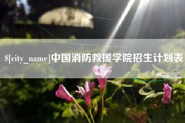 黔东中国消防救援学院招生计划表