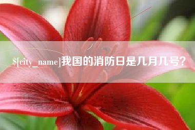 黔东我国的消防日是几月几号？