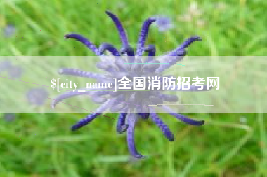 黔东全国消防招考网