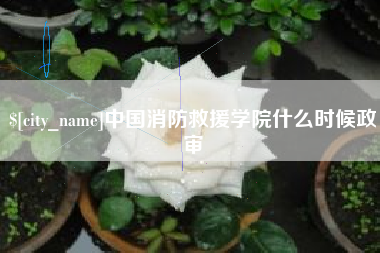 黔东中国消防救援学院什么时候政审