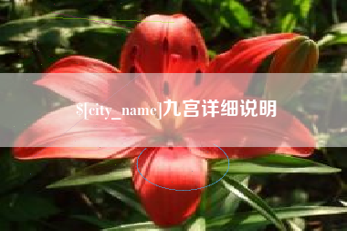 黔东九宫详细说明