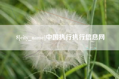 黔东中国执行执行信息网