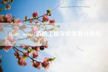黔东消防工程学校录取分数线