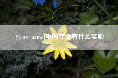 黔东中国夺金有什么奖励