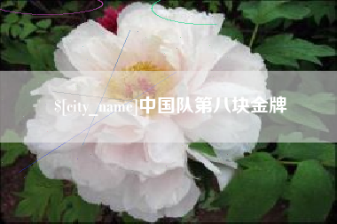 黔东中国队第八块金牌