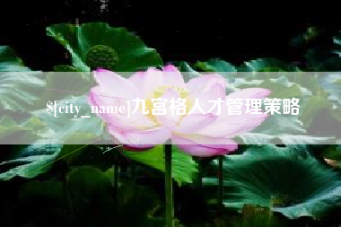 黔东九宫格人才管理策略
