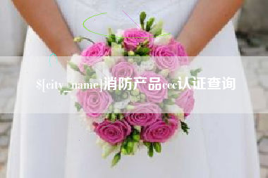 黔东消防产品ccc认证查询
