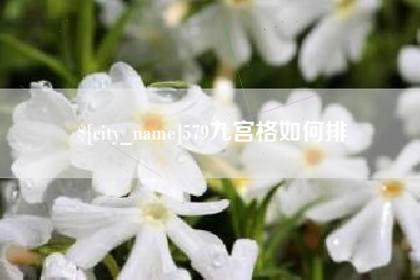 黔东579九宫格如何排