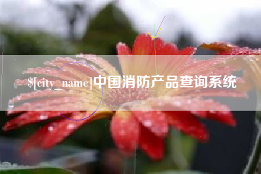 黔东中国消防产品查询系统