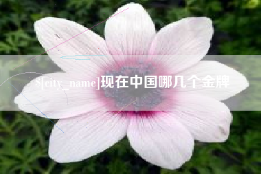 黔东现在中国哪几个金牌