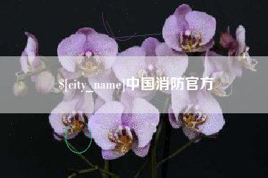 黔东中国消防官方