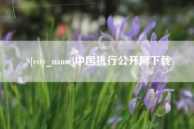 黔东中国执行公开网下载