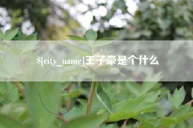 黔东王子豪是个什么