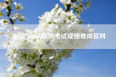 黔东消防考试成绩查询官网