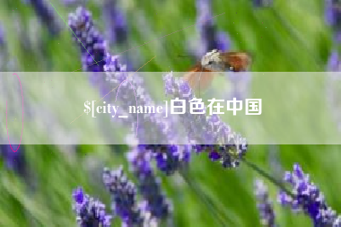 黔东白色在中国