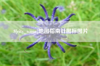 黔东地图指南针图标图片
