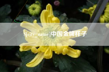 黔东中国金牌样子