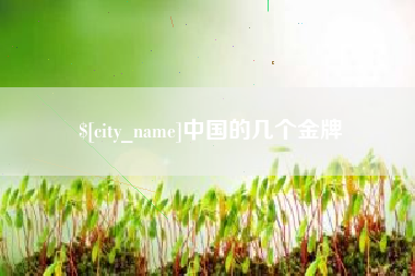 黔东中国的几个金牌