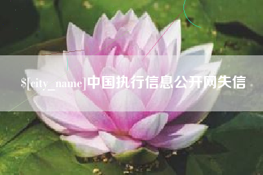 黔东中国执行信息公开网失信