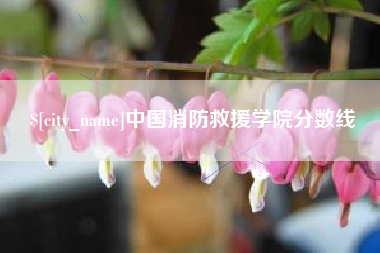 黔东中国消防救援学院分数线