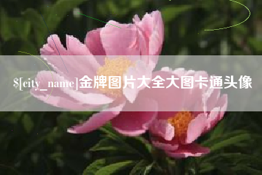黔东金牌图片大全大图卡通头像