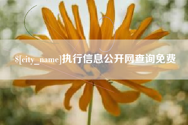 黔东执行信息公开网查询免费